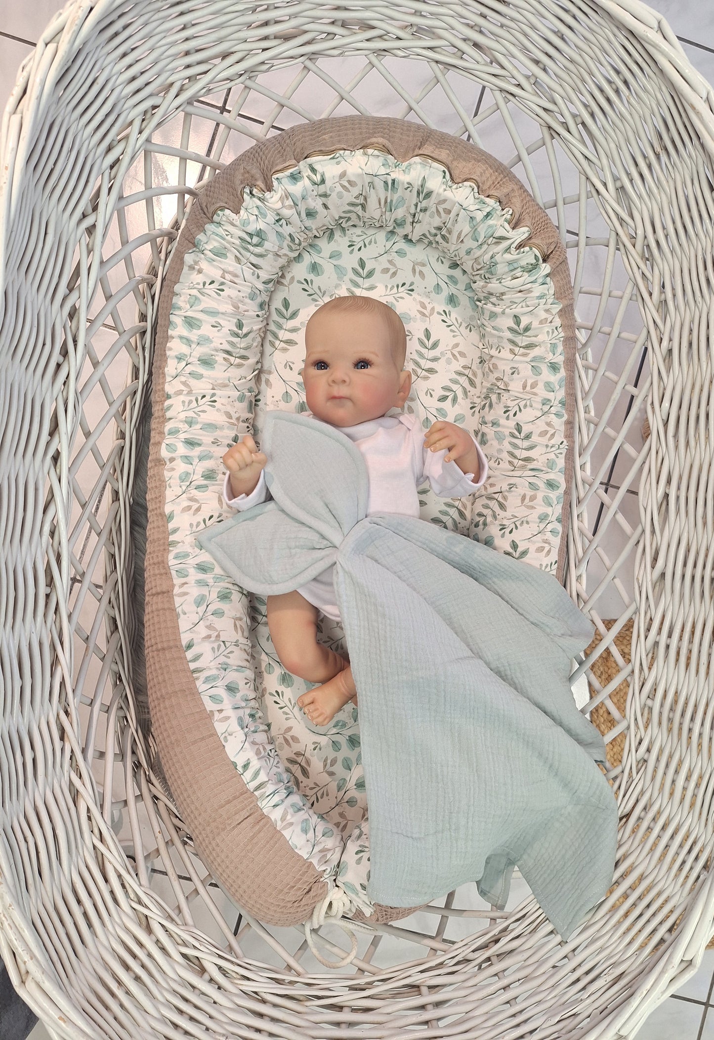 Swiss pine cocoon